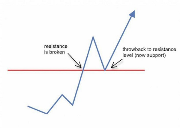 option swing trading