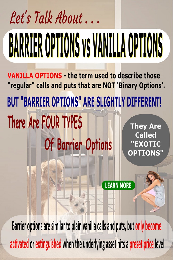 barrier options